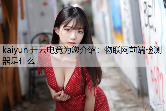 物联网前端检测器是什么