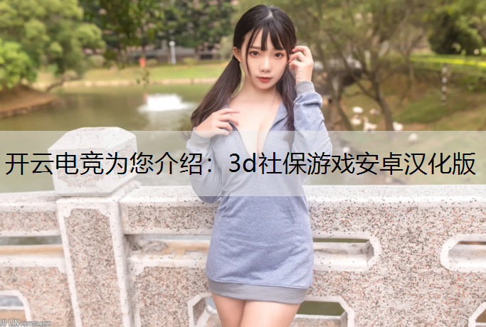 3d社保游戏安卓汉化版