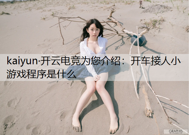 开车接人小游戏程序是什么