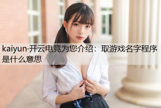 取游戏名字程序是什么意思